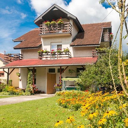 Drina - Bajina Basta Hotel Luaran gambar