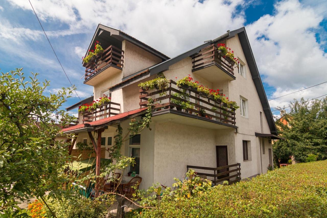 Drina - Bajina Basta Hotel Luaran gambar