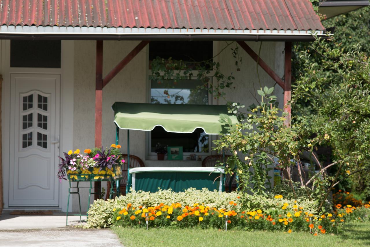 Drina - Bajina Basta Hotel Luaran gambar