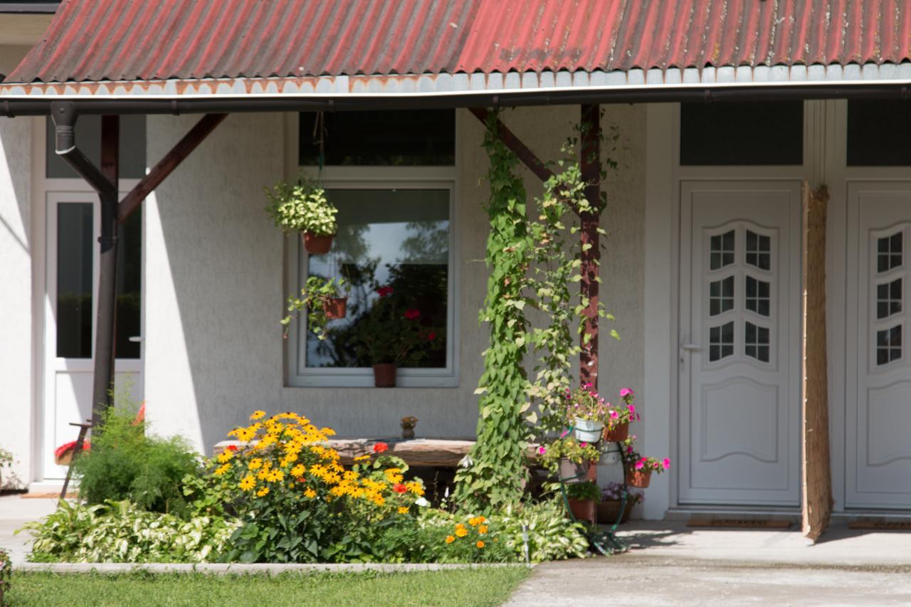 Drina - Bajina Basta Hotel Luaran gambar